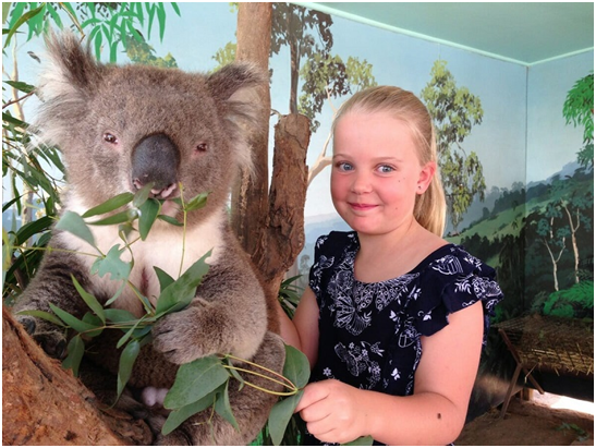 Maru Koala and Animal Park tour