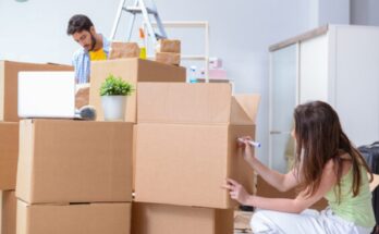The Worth Of A Packers And Movers Team