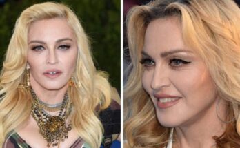 Madonna Net Worth 2022 – The Life of the Queen of Pop